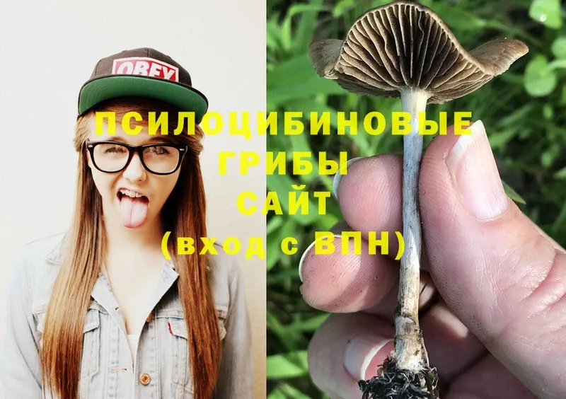 МЕГА как войти  купить наркоту  Козельск  Псилоцибиновые грибы MAGIC MUSHROOMS 